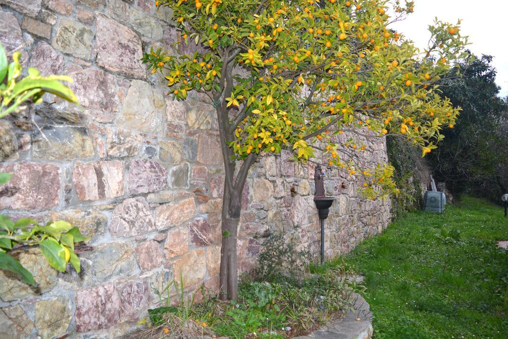 Casa Lia Lejlighed Arcola Eksteriør billede